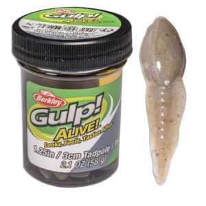 GULP ALIVE 3CM TADPOLE