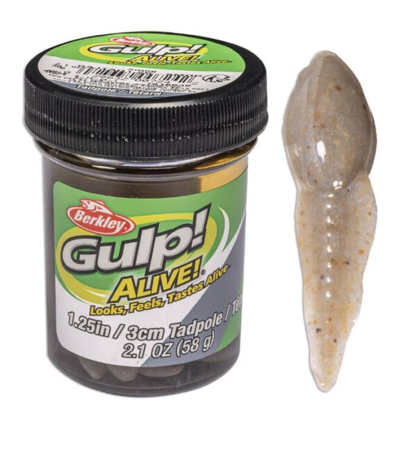 GULP ALIVE 3CM TADPOLE