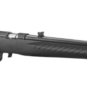 RUGER AMERICAN RIMFIRE 17HMR COMPACT