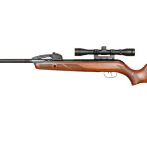 Gamo Replay Fast Shot Wood .22