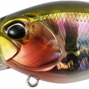 Duo Realis Crank 48MR Kabuki Bottom Rush - Prism Gill