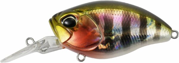 Duo Realis Crank 48MR Kabuki Bottom Rush - Prism Gill